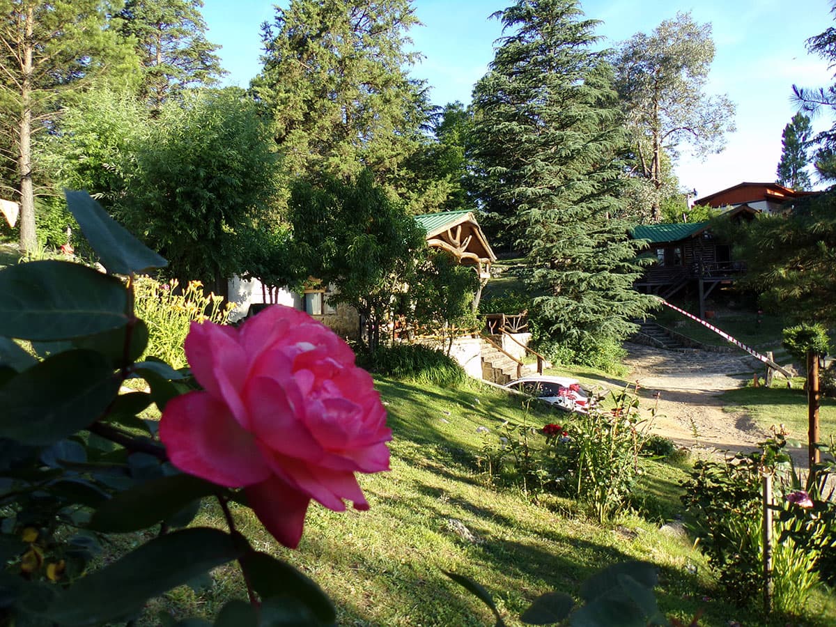 Jardines del complejo